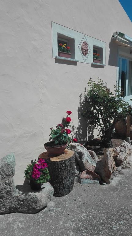 Agriturismo Monte Pino Telti Luaran gambar